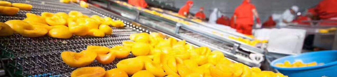 Green Life Foods production line